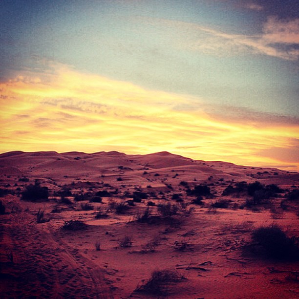 Reserva de la Biosfera El Pinacate y Gran Desierto de Altar, Sonora Reserva de la Biosfera El Pinacate y Gran Desierto de Altar, Sonora